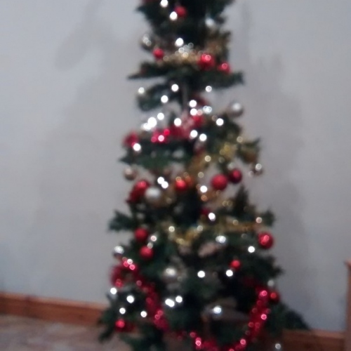 Christmas Tree at Castle Farm Holidays Shropshire