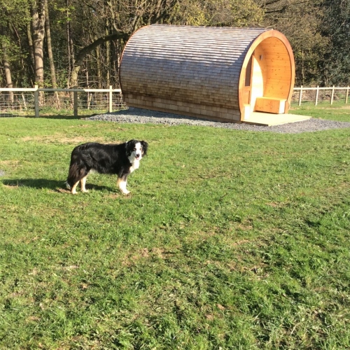 Dog-friendly glamping pods in Ellesmere, Shropshire